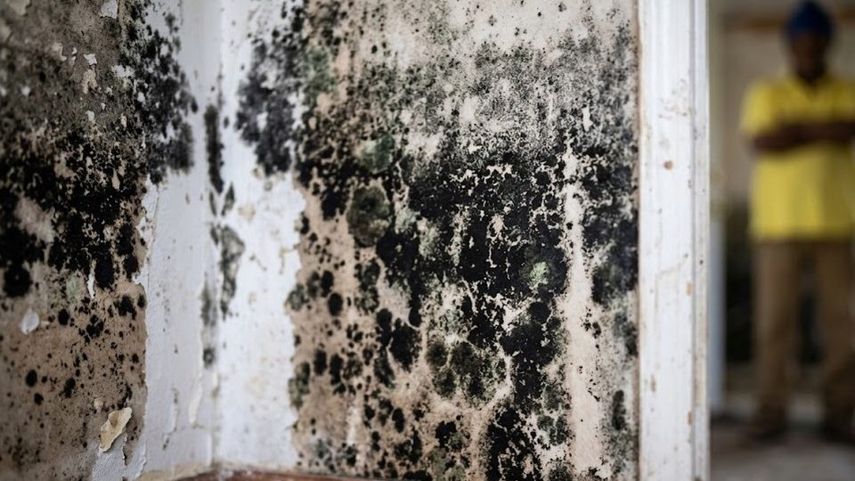 Flood-damaged basement wall in a Schuylkill valley home after Hurricane Ida